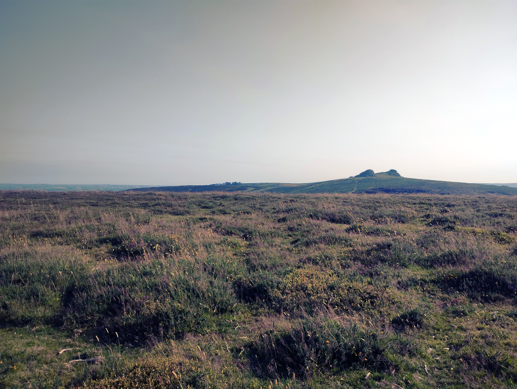 Haytor in the distance