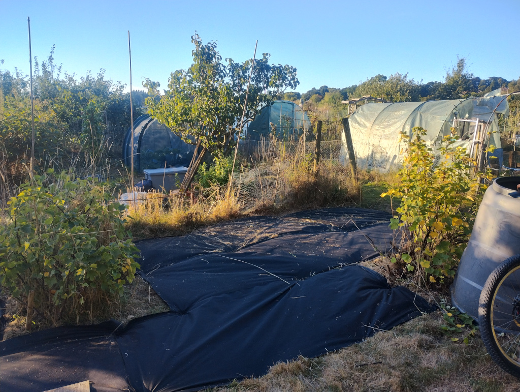 Masking off the plot with an anti-weed barrier