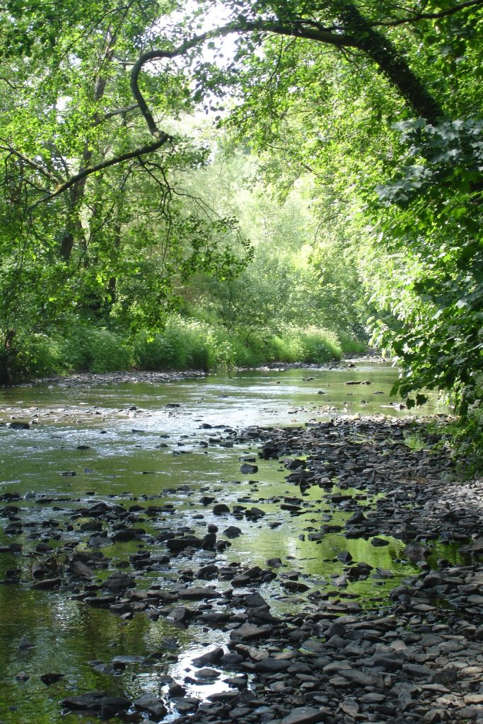 Beautiful time on the river with the Devon School of Fly Fishing