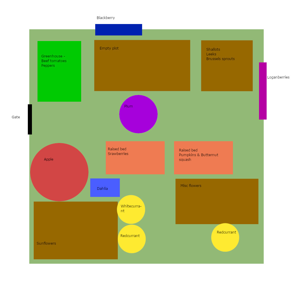 Allotment layout 2025