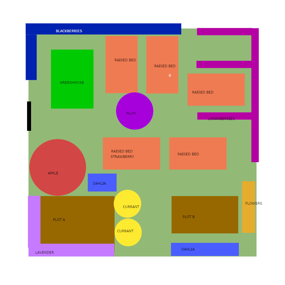 Allotment layout plan 2026